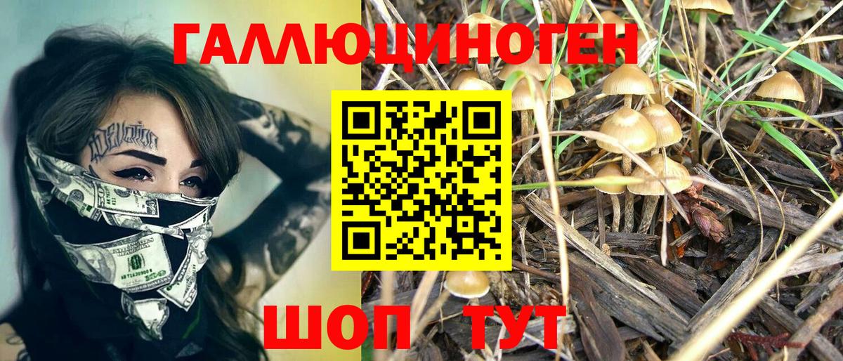 Галлюциногенные грибы мухоморы Холмск